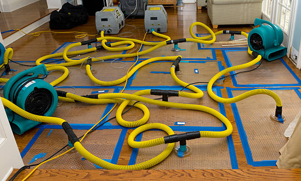 Professional Water Damage Repair technician working in Hager City, WI